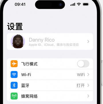 三水appleID维修服务iPhone设置中Apple ID显示为灰色无法使用 