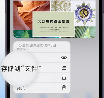 三水apple维修中心分享iPhone文件应用中存储和找到下载文件