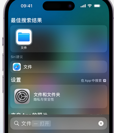 三水apple维修中心分享iPhone文件应用中存储和找到下载文件