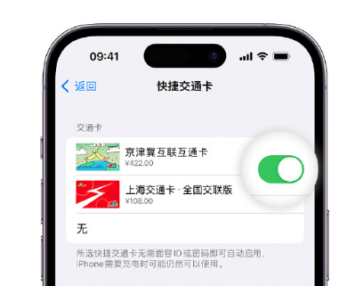 三水apple维修点分享iPhone上更换Apple Pay快捷交通卡手绘卡面 