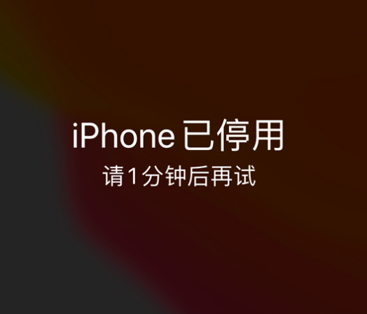 三水苹果手机维修分享:iPhone 显示“不可用”或“已停用”怎么办？还能保留数据吗？ 