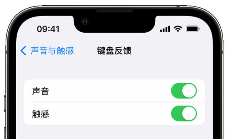 三水苹果手机维修分享iPhone 14触感键盘使用方法 