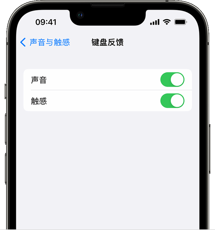 三水苹果14维修店分享如何在 iPhone 14 机型中使用触感键盘 