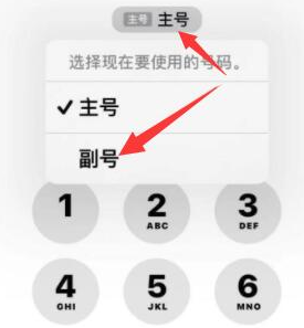 三水苹果14维修店分享iPhone 14 Pro Max使用副卡打电话的方法 