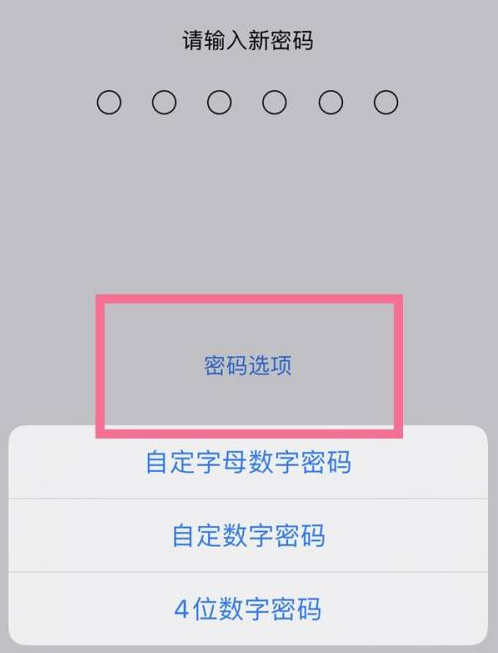 三水苹果14维修分享iPhone 14plus设置密码的方法 