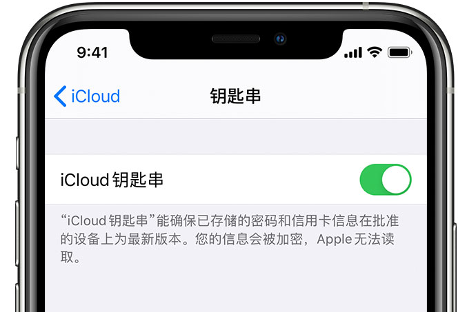 三水苹果手机维修分享在 iPhone 上开启 iCloud 钥匙串之后会储存哪些信息 