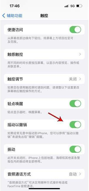 三水苹果手机维修分享iPhone手机如何设置摇一摇删除文字 